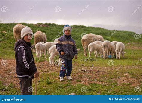  The Young Shepherd and His Talking Sheep!: A Glimpse into Early Turkish Folklore